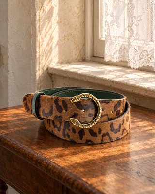 ACCESSORI