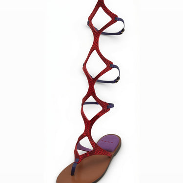 ARANKA pitone corallo