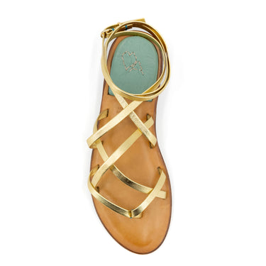 MARY ORO - Ardemia Design
